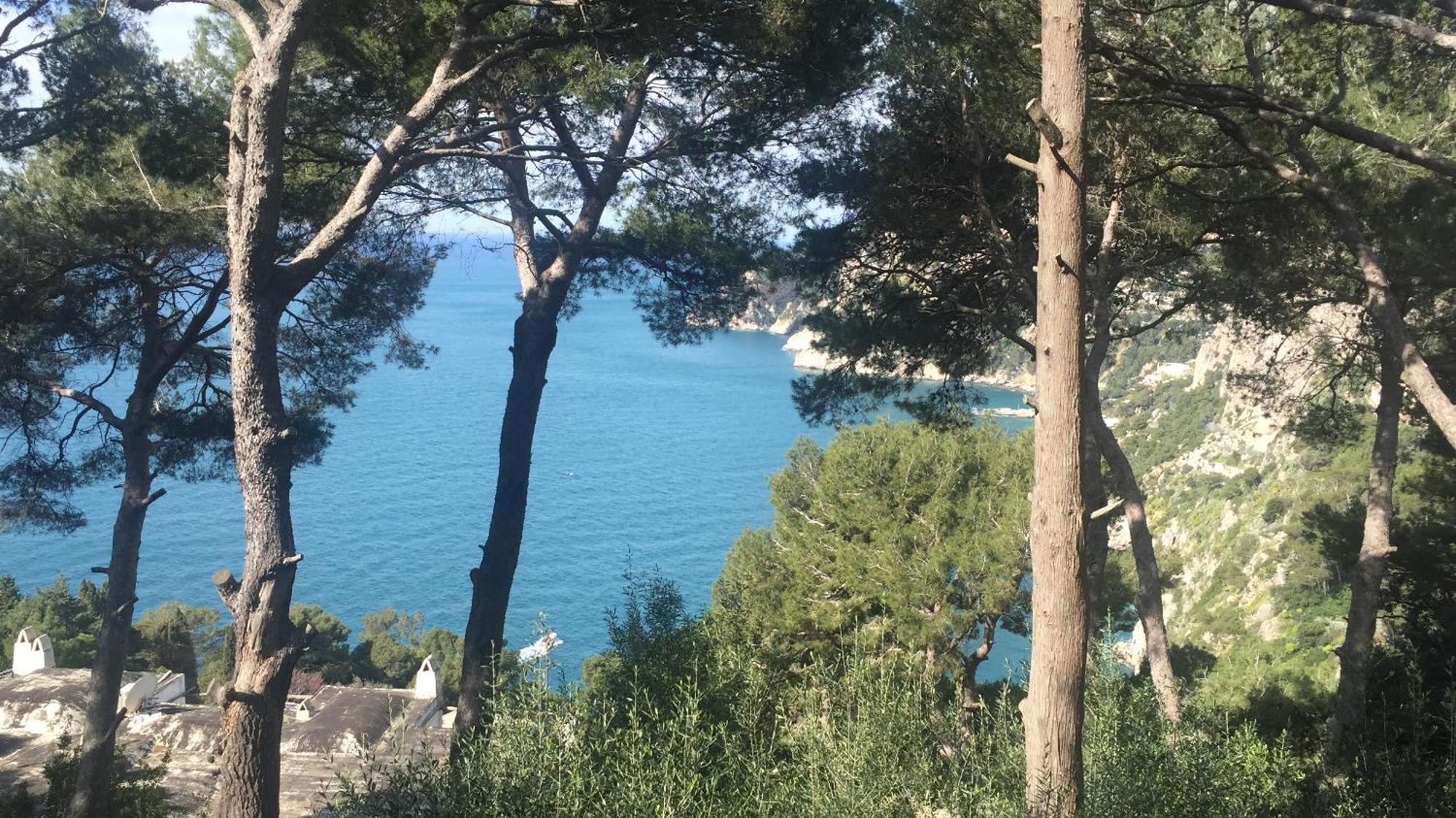 Villa Guya Capri Dış mekan fotoğraf