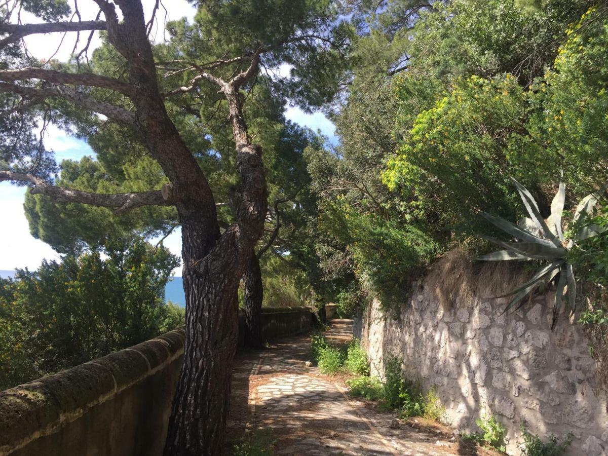 Villa Guya Capri Dış mekan fotoğraf