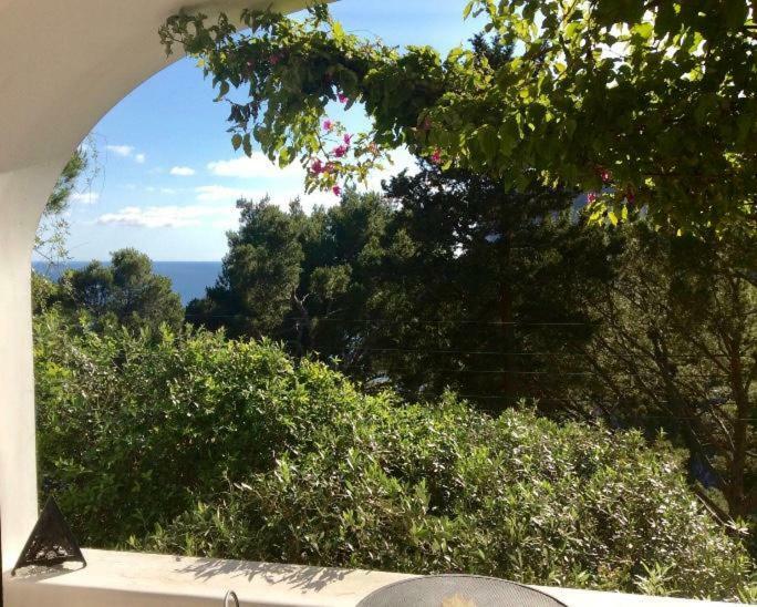 Villa Guya Capri Dış mekan fotoğraf