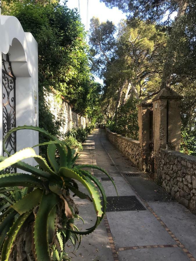 Villa Guya Capri Dış mekan fotoğraf